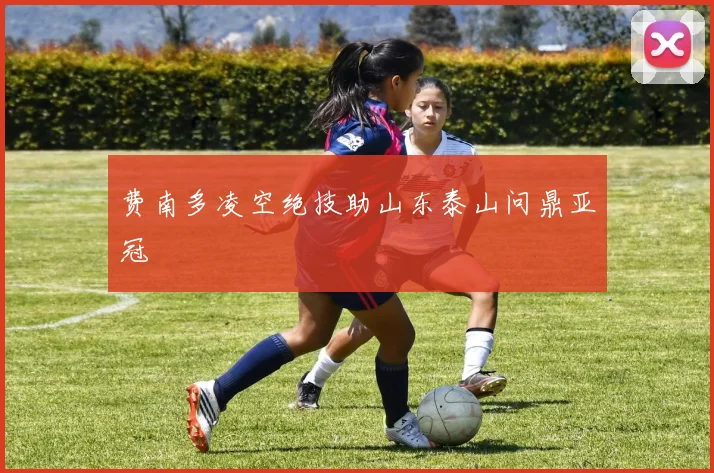 费南多凌空绝技助山东泰山问鼎亚冠